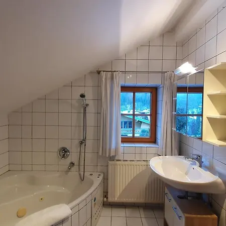 Haus Monika Apartment Kirchberg in Tirol